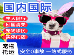 韶关丹霞机场空运国际宠物托运 【国